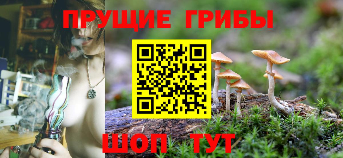 Чебаркуль  Псилоцибиновые грибы Magic Shrooms  Псилоцибиновые грибы мицелий  наркота  Вход с VPN 